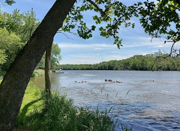 illinois/quad-cities/attraction/black-hawk-forest