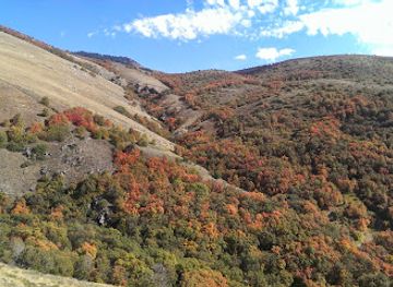 utah/logan/attraction/bridgerland-park