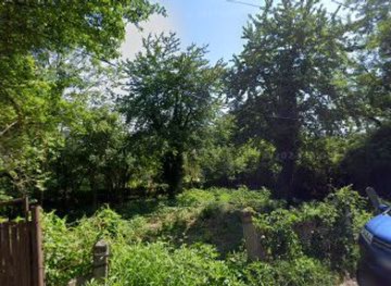 romania/pitesti/attraction/dealul-bogdanului