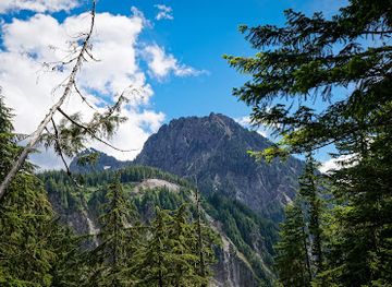 washington/mount-rainier-area/attraction/christine-falls-bridge