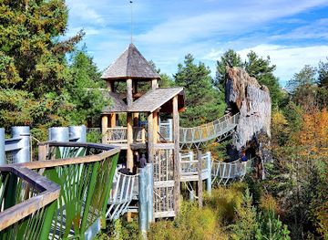 The Wild Center