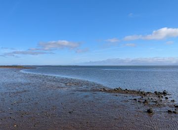 denmark/the-north-sea-islands/attraction/hjerting-strand