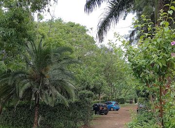 zimbabwe/chinhoyi/attraction/bridgeview-gardens