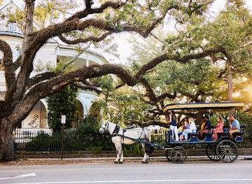 south-carolina/summerville/attraction/palmetto-carriage-works