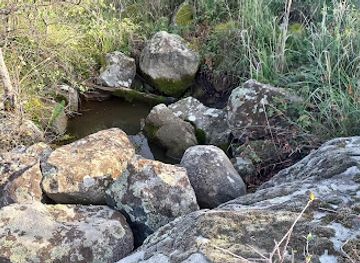 hungary/zemplen-mountains/attraction/szent-vince-hegyi-forras