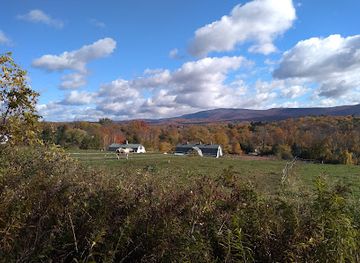 vermont/bennington-battle-monument/attraction/the-mile-around-woods