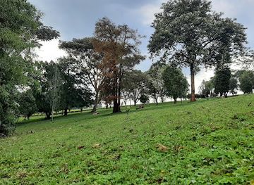 kenya/nyanza-region/attraction/chagaik-arboretum