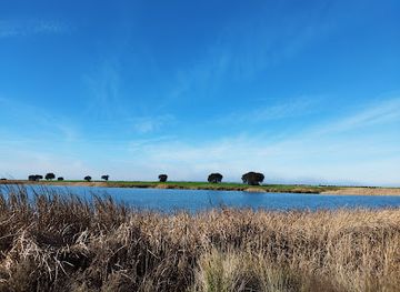 portugal/alentejo/attraction/river-beach-cinco-reis