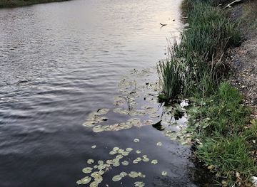 ukraine/seversky-donets-river/attraction/richky-siverskyy-donets-ta-chervona