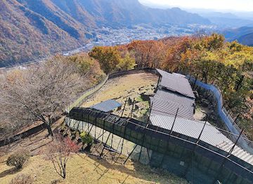japan/nikko/attraction/osaru-no-yama