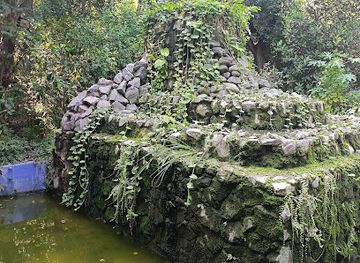 india/kanpur/kakadeo/attraction/butterfly-park