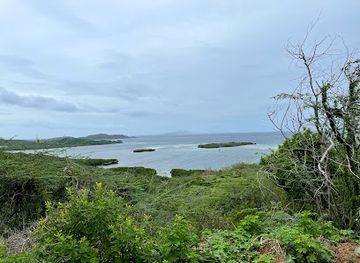 puerto-rico/culebra/attraction/playa-manzanilla