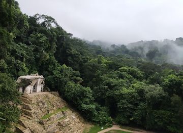 mexico/chiapas/palenque/attraction/palenque-national-park