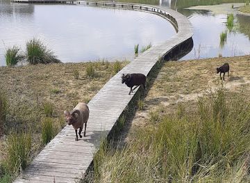 belgium/tournai/attraction/zone-d-immersion-temporaire