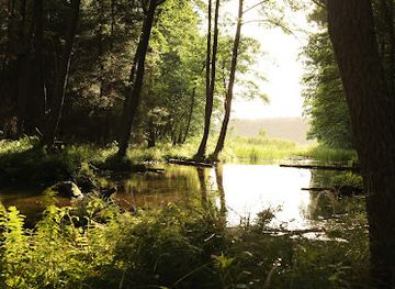 poland/bory-tucholskie/attraction/rezerwat-przyrody-zdrojno
