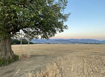 slovakia/trencin/attraction/hojdacka-nad-trencinom