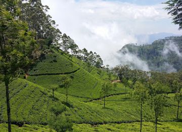 sri-lanka/up-country/attraction/thangamale-sanctuary