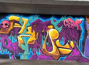 norway/sor-trondelag/attraction/streetart-galllery-trondheim