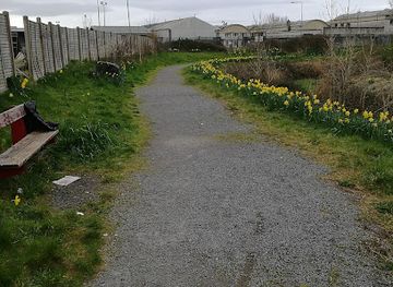 ireland/county-galway/attraction/terryland-forest-park