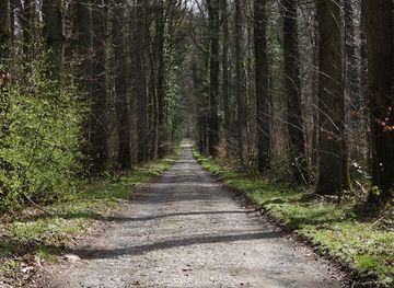 belgium/walloon-brabant/attraction/meerdaalwoud