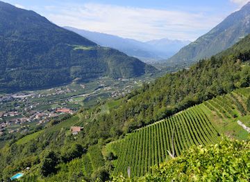 italy/val-venosta/attraction/meraner-hohenweg