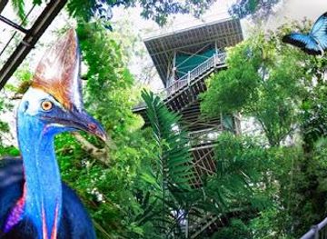 australia/port-douglas/attraction/daintree-discovery-centre