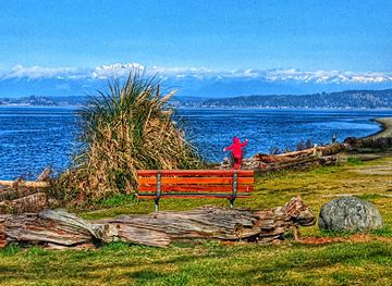 washington/olympic-national-park/attraction/lincoln-park