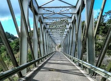 puerto-rico/arecibo/attraction/puente-mata-de-platanos-ingeniero-juan-jose-jimenez