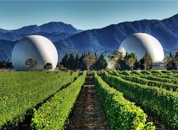 new-zealand/marlborough/attraction/discovery-wine-tours-marlborough-blenheim-havelock-picton-renwick