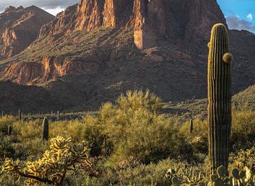 arizona/tonto-national-forest/attraction/the-wave-cave