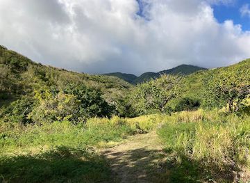 saint-kitts-and-nevis/brimstone-hill-fortress-national-park/attraction/bat-cave-hike