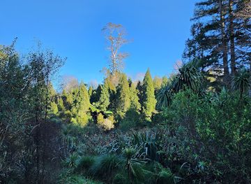 new-zealand/hamilton/attraction/a-j-seeley-gully-reserve