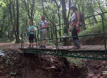 serbia/fruska-gora-national-park/attraction/pecina-beli-kop