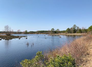 new-jersey/pine-barrens/attraction/franklin-parker-preserve-chatsworth-lake-entrance