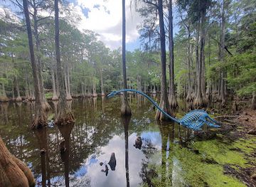 florida/tallahassee/attraction/tallahassee-museum