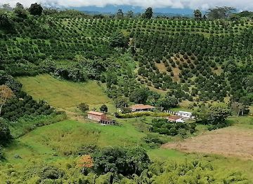 colombia/coffee-axis/attraction/recuca