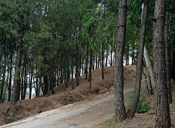 Scenic sitting site