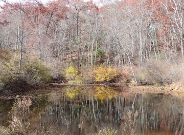 massachusetts/hampden-county/attraction/laughing-brook-wildlife-sanctuary