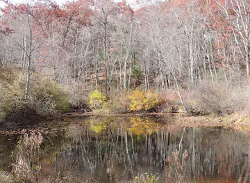 Laughing Brook Wildlife Sanctuary
