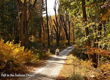 indiana/the-lakes-region/attraction/indiana-dunes-visitor-center