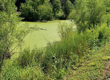 illinois/galena-territory/attraction/buehler-preserve