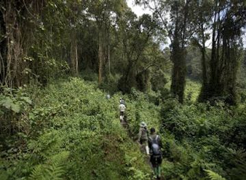 rwanda/muhanga/attraction/harmony-safari-expeditions