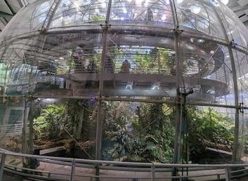 california/san-leandro/attraction/california-academy-of-sciences