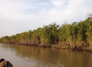 bangladesh/sundarbans-national-park/attraction/sundarban-national-forest