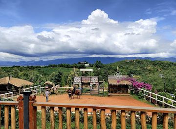 myanmar-burma/inle-lake/attraction/inle-horse-club