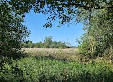 united-kingdom/norwich/attraction/wheatfen-broad-ted-ellis-trust