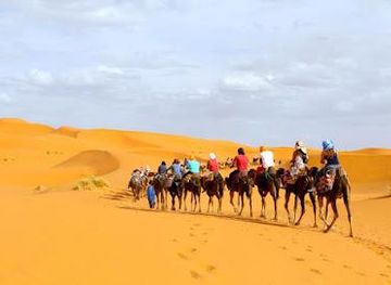 morocco/marrakech/attraction/barouma-tours-excursions-transport-car-rental