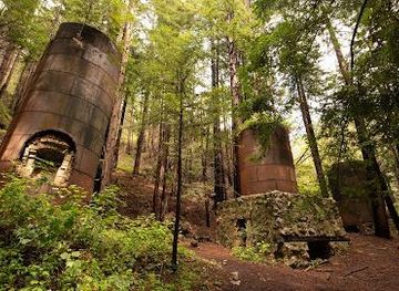california/big-sur/attraction/limekiln-state-park