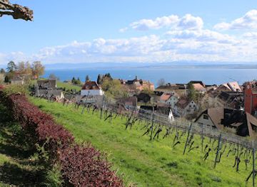 germany/lake-constance/attraction/aussichtspunkt-odenstein