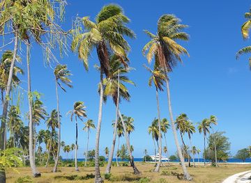 french-polynesia/rangiroa/attraction/plage-publique-rangiroa